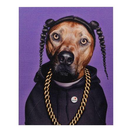 EMPIRE ART DIRECT High Resolution Pets Rock Giclee Printed on Cotton Canvas on Solid Wood Stretcher - Rap GIC-PR003-2016